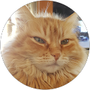 Monce Clement's profile picture