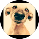 Rosa profile picture